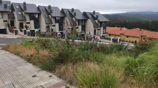 Terreno en calle Lois Pereiro, 1
