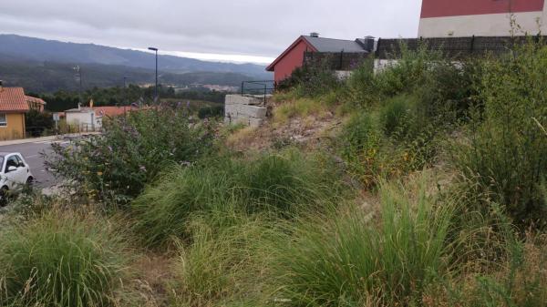 Terreno en calle Lois Pereiro, 1