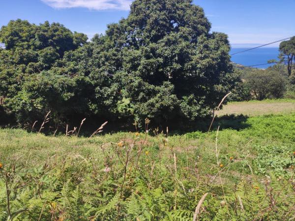 Terreno en carretera Dp-0514 s/n