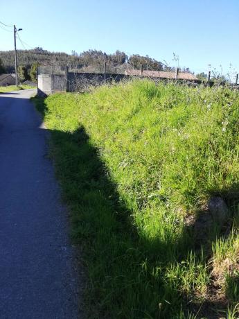 Terreno en calle subilares, 22