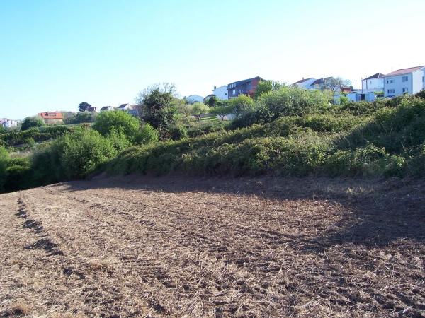 Terreno en via Carnoedo s/n