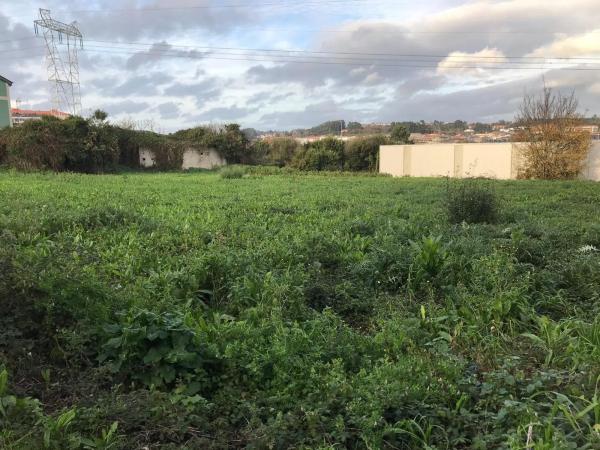 Terreno en calle Evaristo Martelo Pauman