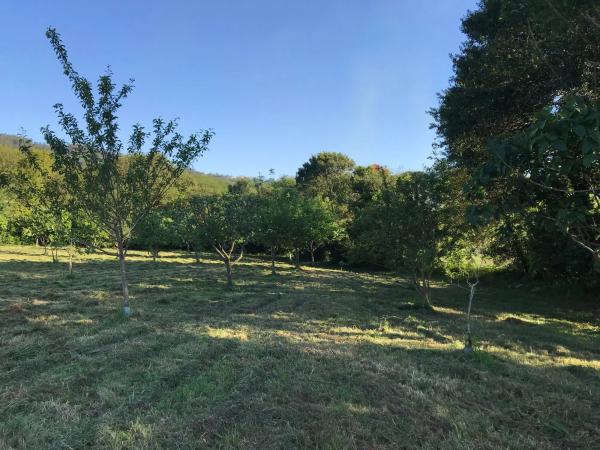 Terreno en Menlle, km 1