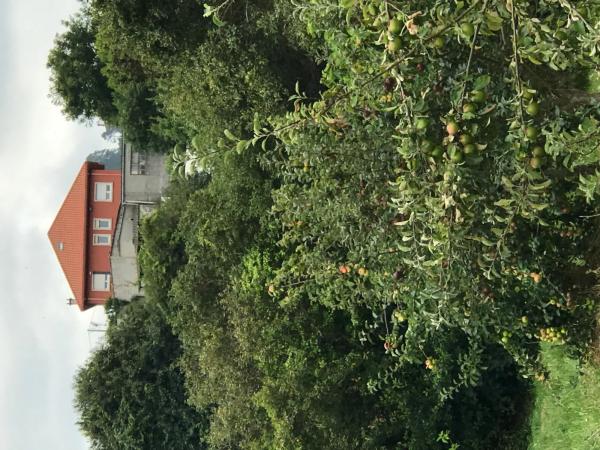 Terreno en Menlle, km 1