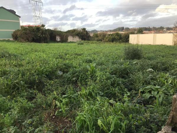 Terreno en calle Evaristo Martelo Pauman