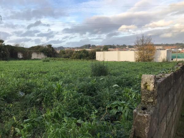 Terreno en calle Evaristo Martelo Pauman