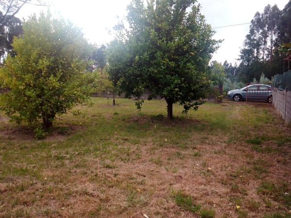 Terreno en carretera Dp-0801, km 2