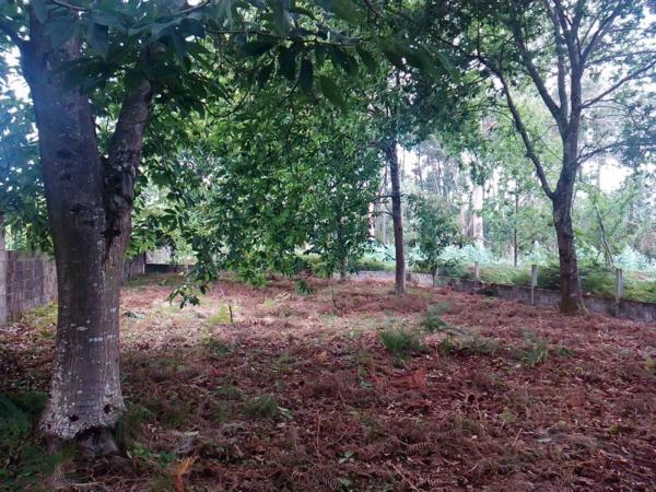 Terreno en carretera Dp-0801, km 2