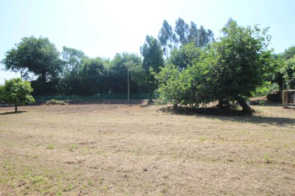 Terreno en Lugar Quintan, 14