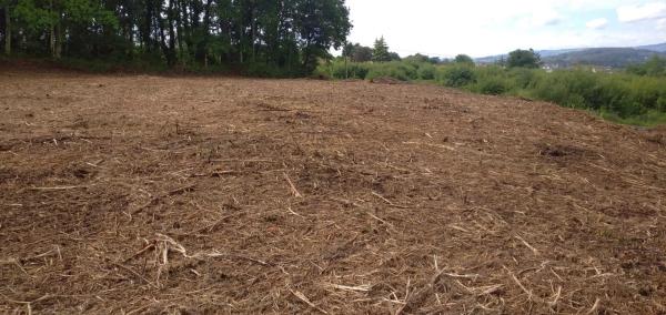 Terreno en calle P. Cortiñán, 141