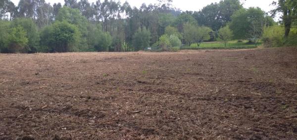 Terreno en calle P. Cortiñán, 141