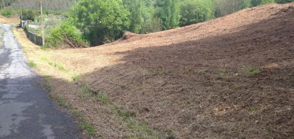 Terreno en calle P. Cortiñán, 141