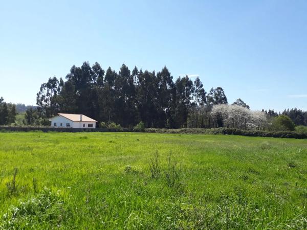Terreno en avenida Francisca Herrera s/n