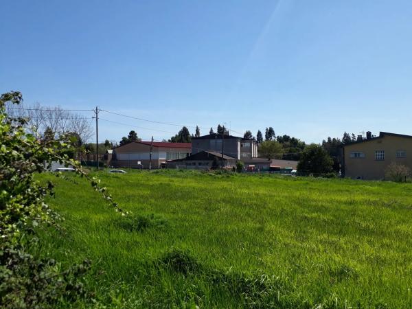 Terreno en avenida Francisca Herrera s/n