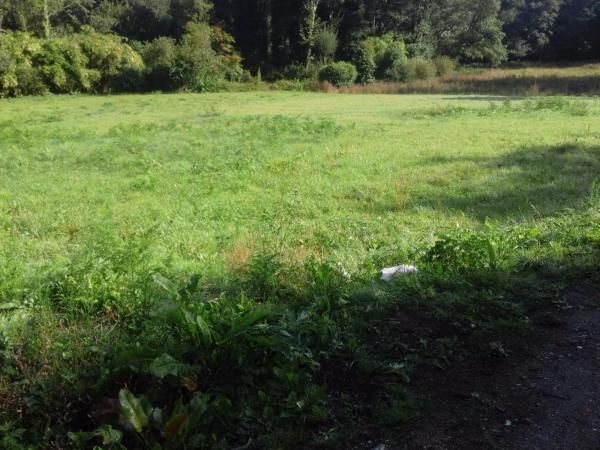 Terreno en camino Público, 36