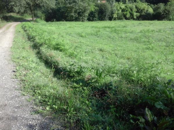 Terreno en camino Público, 36