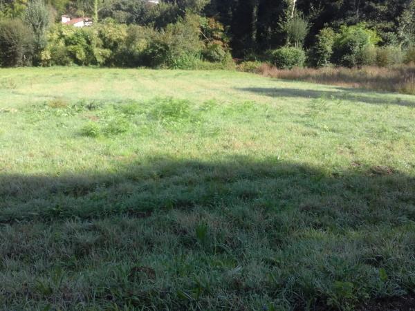 Terreno en camino Público, 36