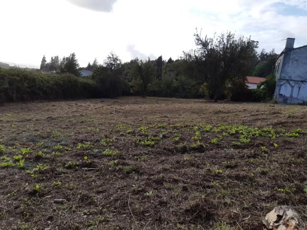 Terreno en Covo s/n
