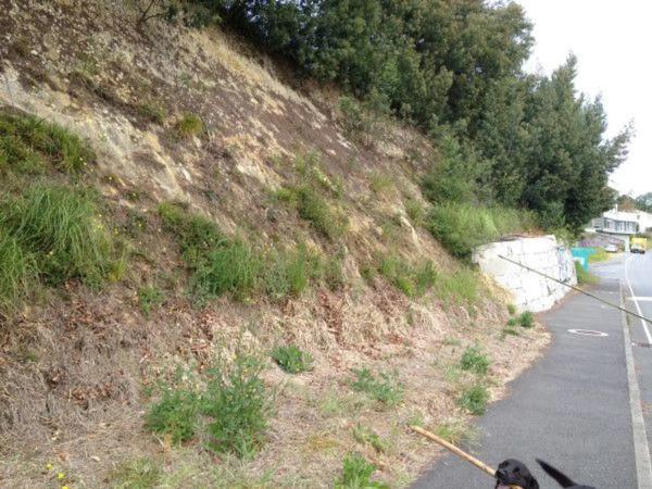 Terreno en avenida das Mariñas