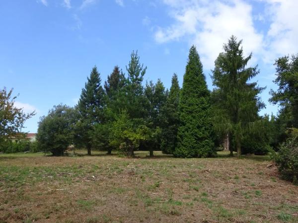 Terreno en avenida das Mariñas