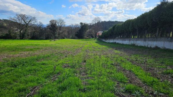 Terreno en calle Río Xares s/n