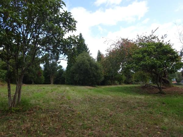 Terreno en avenida das Mariñas