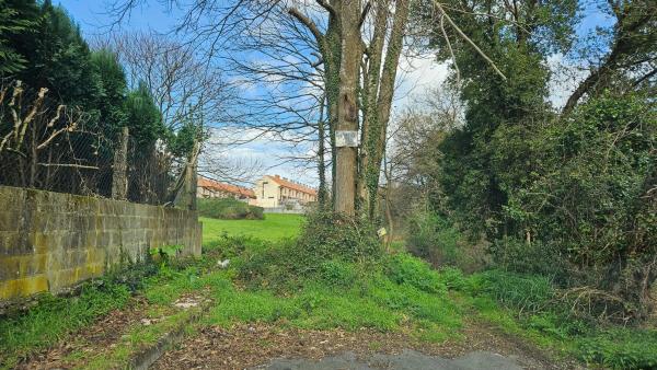 Terreno en calle Río Xares s/n