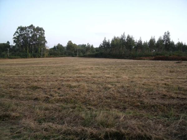 Terreno en carretera nacional vi, km 578