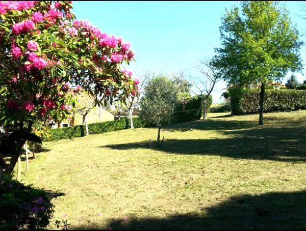 Terreno en camino de Romariz Barallobre