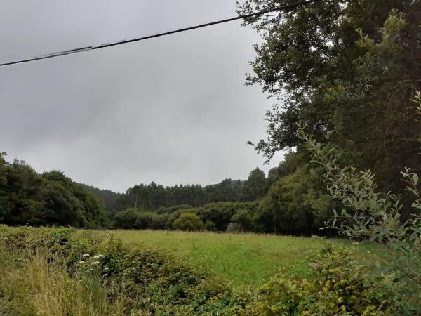 Terreno en a Cova s/n sn