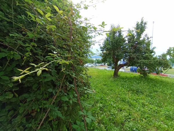 Terreno en carretera Gandara