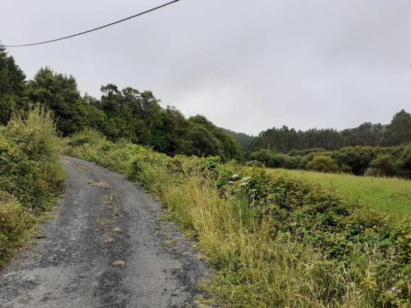 Terreno en a Cova s/n sn