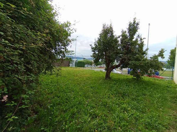 Terreno en carretera Gandara