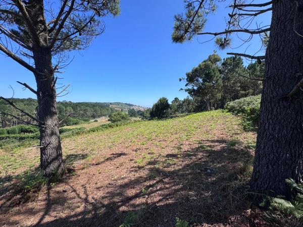 Terreno en Lugar Vicuda, 39