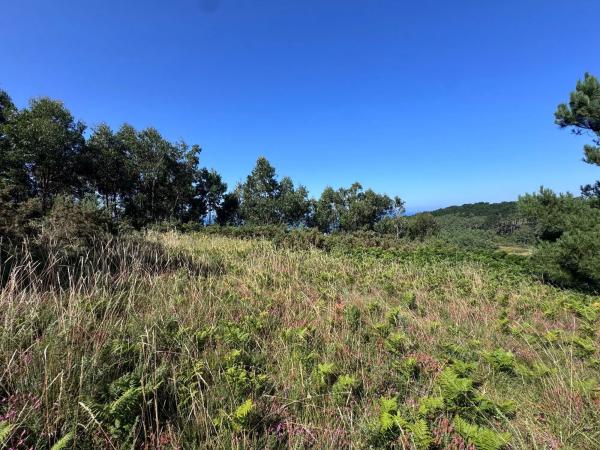 Terreno en Lugar Vicuda, 39