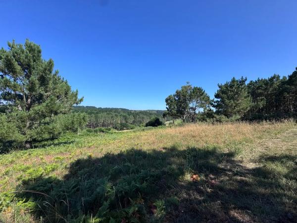 Terreno en Lugar Vicuda, 39