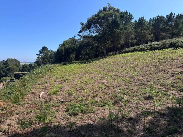 Terreno en Lugar Vicuda, 39