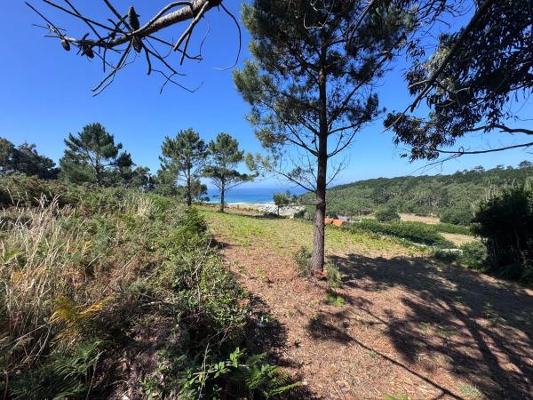 Terreno en Lugar Vicuda, 39