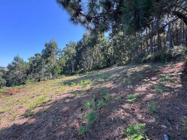 Terreno en Lugar Vicuda, 39