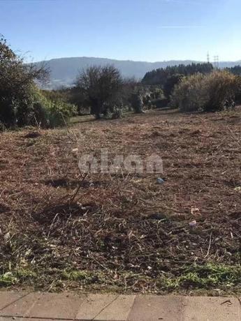 Terreno en camino de Castela, 700