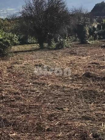 Terreno en camino de Castela, 700