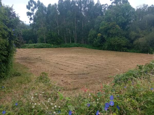 Terreno en calle Gallada de Piñeiro s/n Sin númer