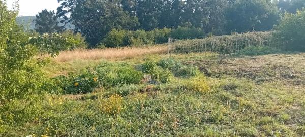 Terreno en camino de Vieiras, 28