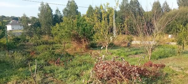 Terreno en camino de Vieiras, 28