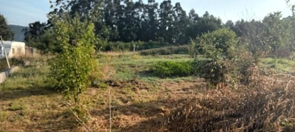 Terreno en camino de Vieiras, 28
