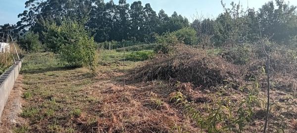 Terreno en camino de Vieiras, 28