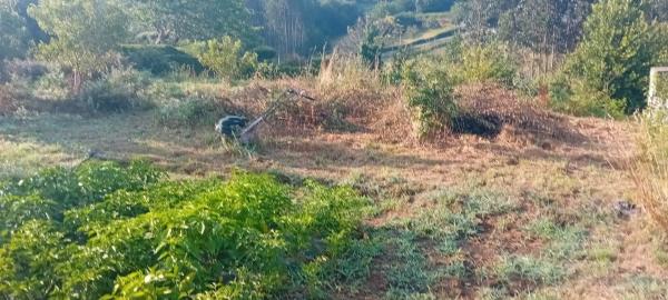 Terreno en camino de Vieiras, 28