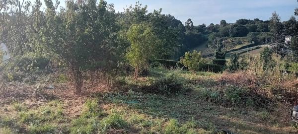 Terreno en camino de Vieiras, 28