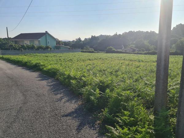 Terreno en camino das Forxas, 29