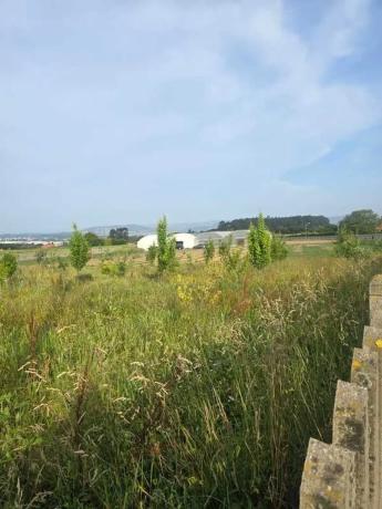 Terreno en Pazos - Mandía